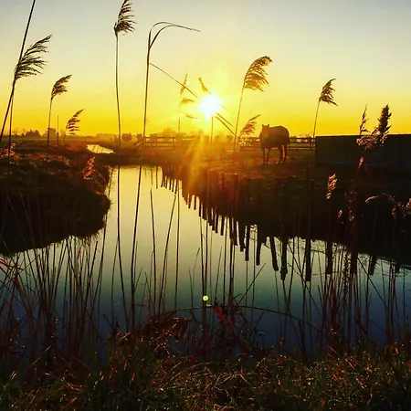 Appartement T2+ Avec Piscine Et Parking A - Fr-1-323-315