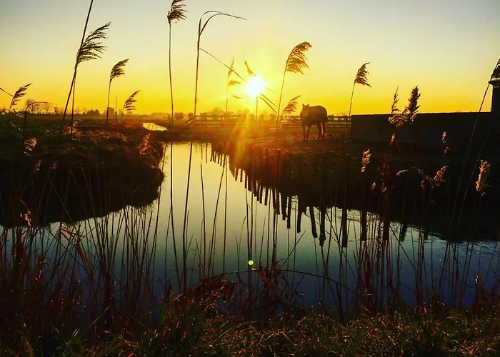 Appartement T2+ Avec Piscine Et Parking A - Fr-1-323-315